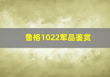 鲁格1022军品鉴赏