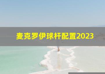 麦克罗伊球杆配置2023