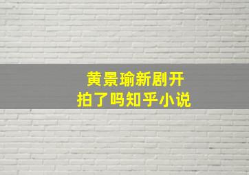 黄景瑜新剧开拍了吗知乎小说