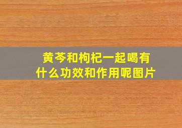 黄芩和枸杞一起喝有什么功效和作用呢图片