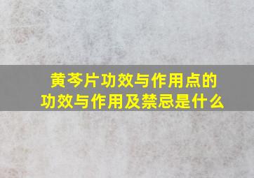 黄芩片功效与作用点的功效与作用及禁忌是什么