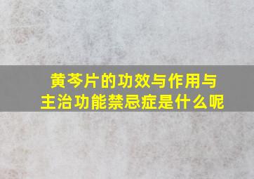 黄芩片的功效与作用与主治功能禁忌症是什么呢