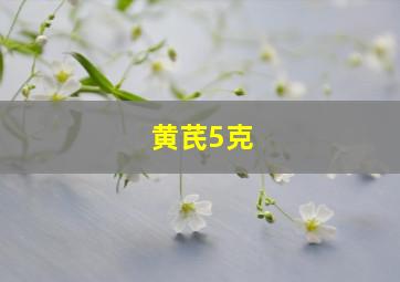 黄芪5克