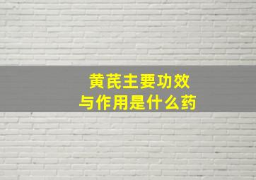 黄芪主要功效与作用是什么药