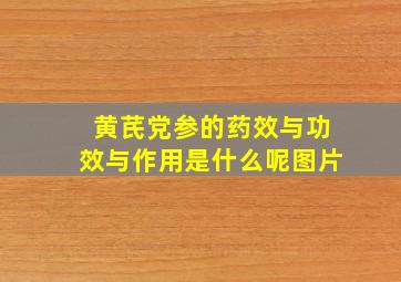 黄芪党参的药效与功效与作用是什么呢图片