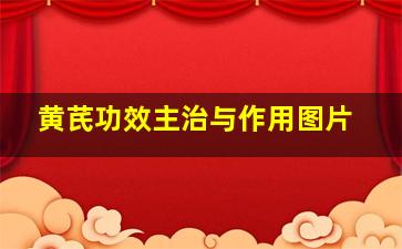 黄芪功效主治与作用图片