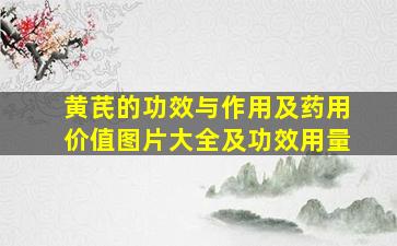 黄芪的功效与作用及药用价值图片大全及功效用量