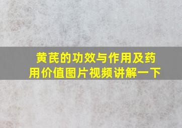 黄芪的功效与作用及药用价值图片视频讲解一下