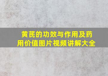 黄芪的功效与作用及药用价值图片视频讲解大全