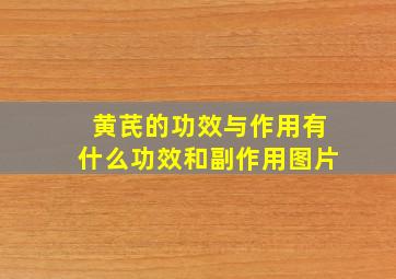 黄芪的功效与作用有什么功效和副作用图片