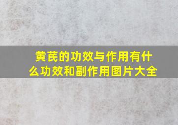 黄芪的功效与作用有什么功效和副作用图片大全