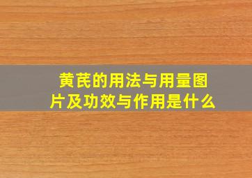 黄芪的用法与用量图片及功效与作用是什么