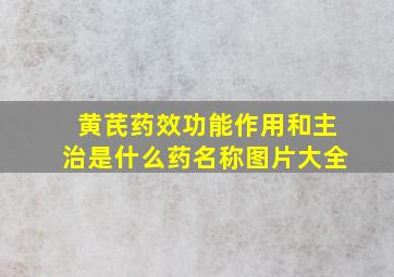 黄芪药效功能作用和主治是什么药名称图片大全