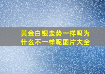 黄金白银走势一样吗为什么不一样呢图片大全