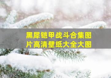 黑犀铠甲战斗合集图片高清壁纸大全大图