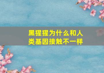 黑猩猩为什么和人类基因接触不一样