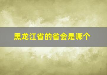 黑龙江省的省会是哪个